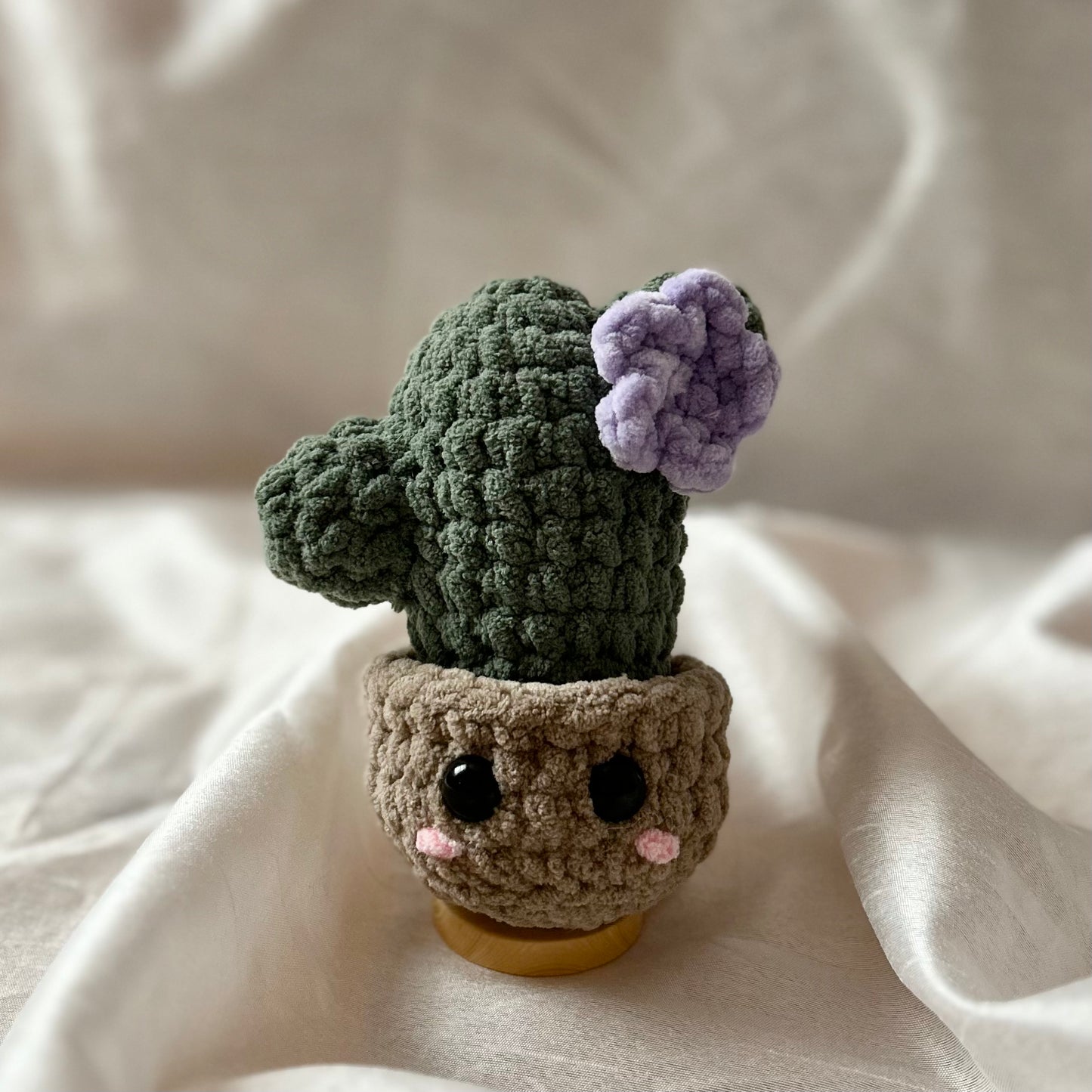 Cactus floral